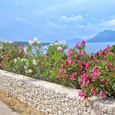 Gracin - Premium One Bedroom With Terrace A3 * Povlja (Brac)